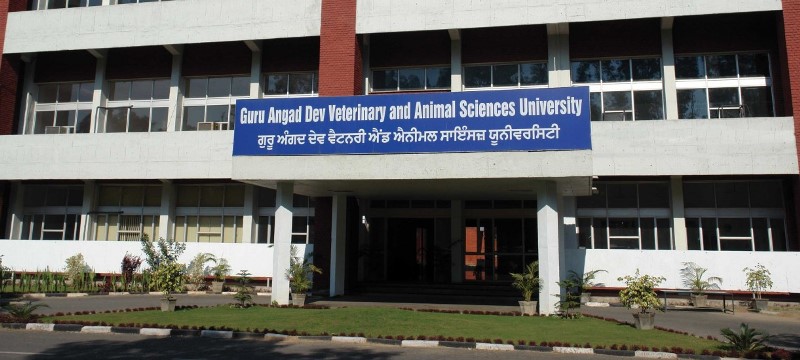 Guru Angad Dev Veterinary