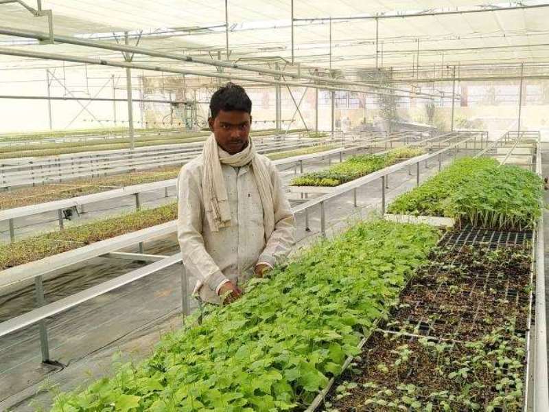 Horticulture Department in Punjab