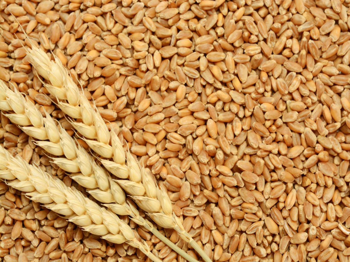 Wheat Variety