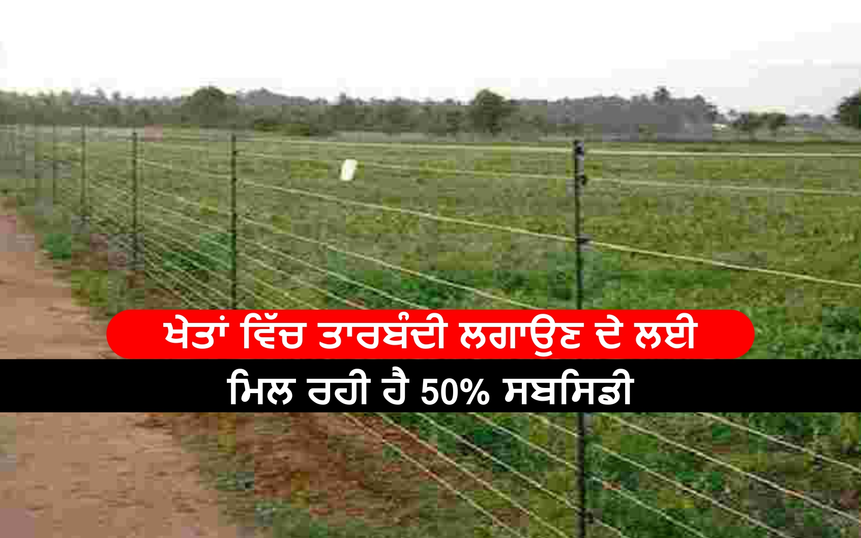 ਖੇਤਾਂ ਵਿੱਚ ਤਾਰਬੰਦੀ ਲਗਾਉਣ ਦੇ ਲਈ ਮਿਲ ਰਹੀ ਹੈ 50 ਸਬਸਿਡੀ 50 subsidy is