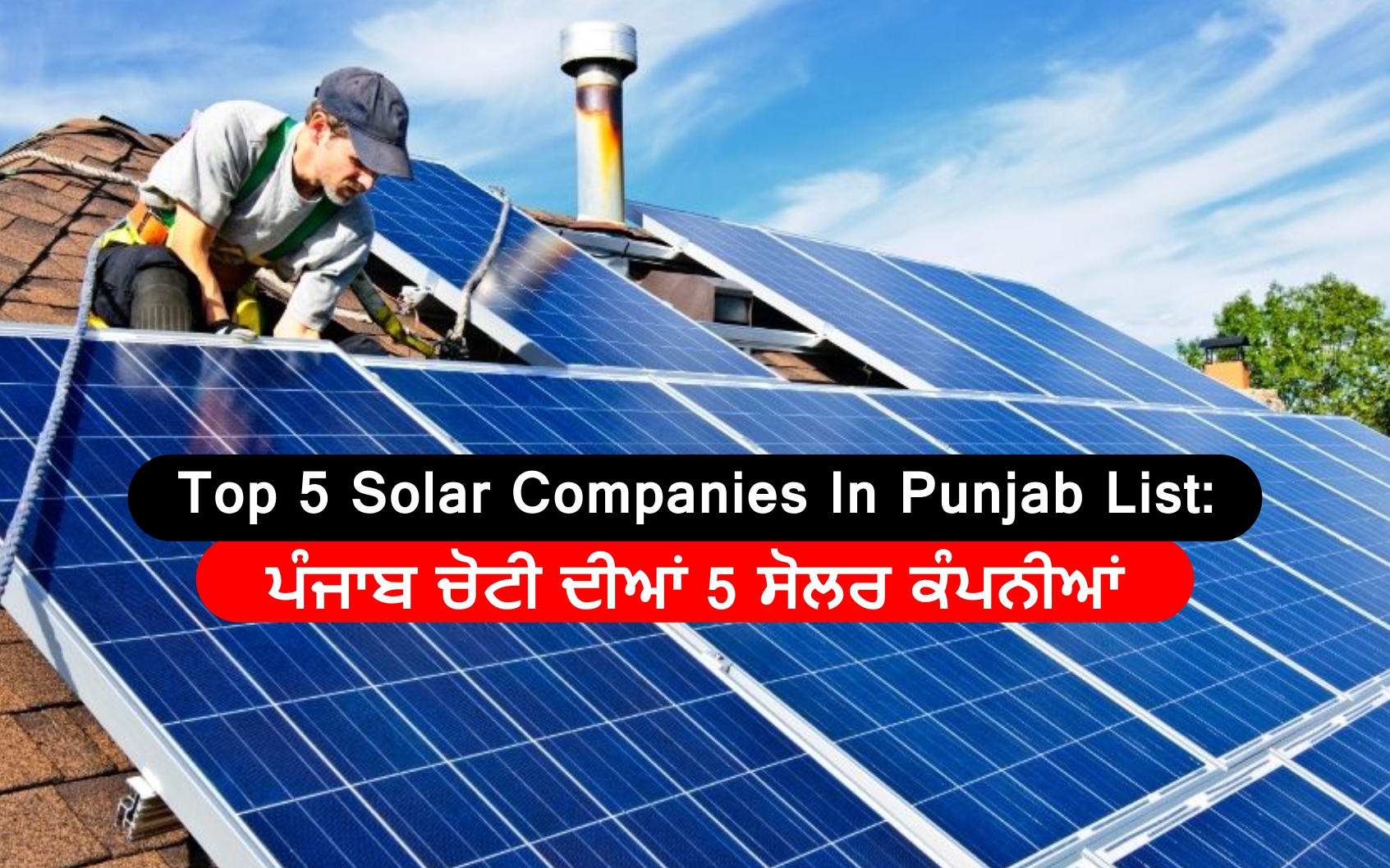 top-5-solar-companies-in-punjab-list-5