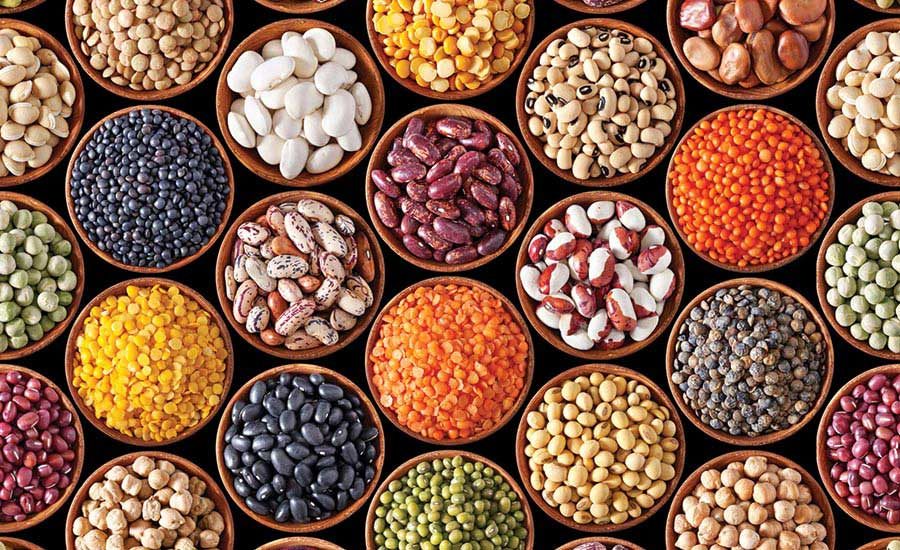 Pulses Prices Fall