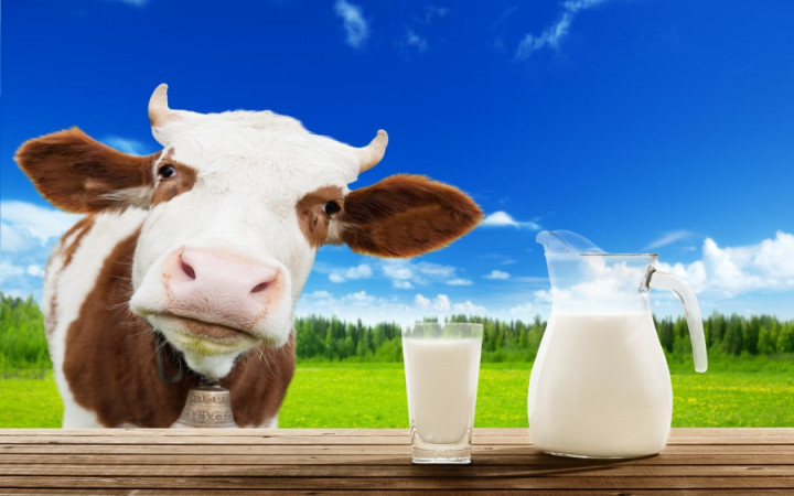 Milk subsidy