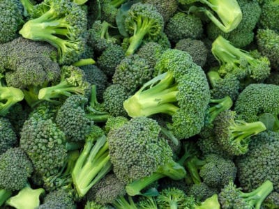 Cultivating Broccoli