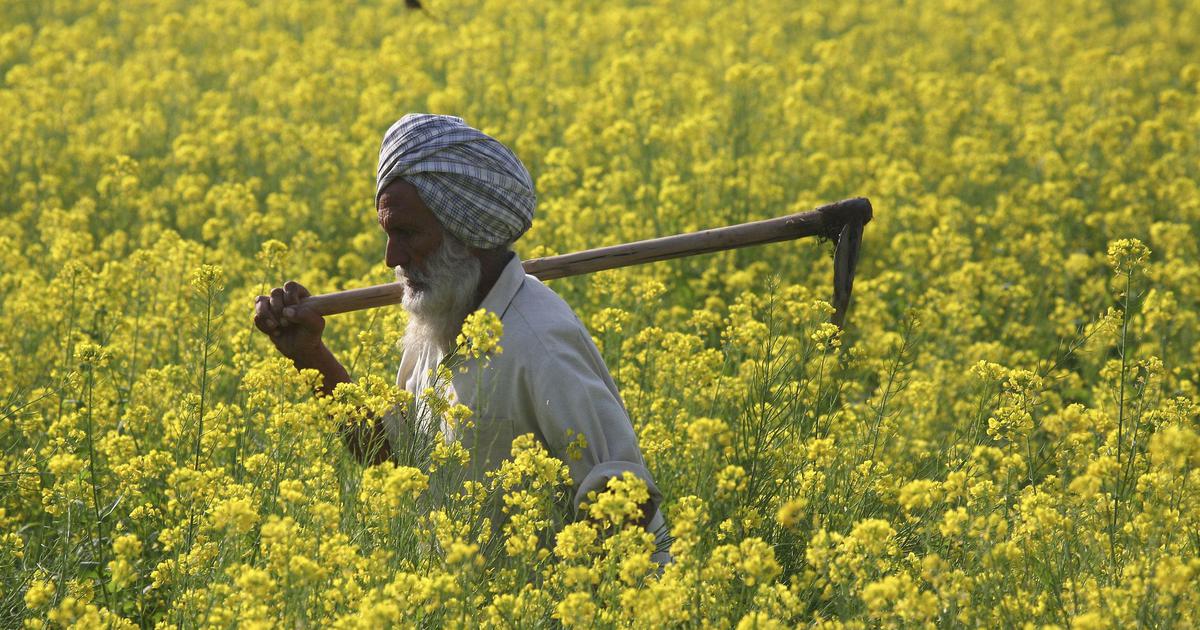 Top 10 Agricultural States in India
