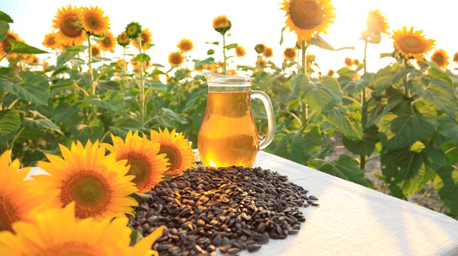 Sunflower Seeds and Oil