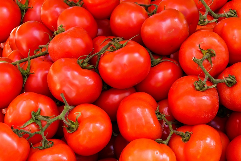 Fresh Tomato Day 2022