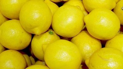 Lemon Price Hike