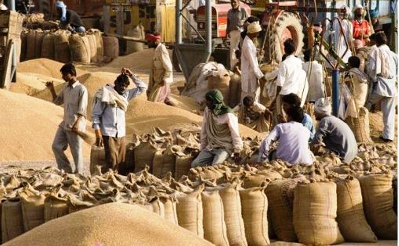 Wheat procurement hampered in Punjab