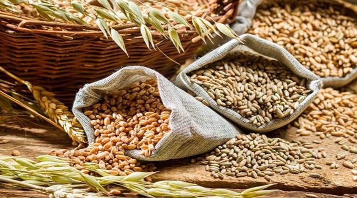 Wheat Production Decreased