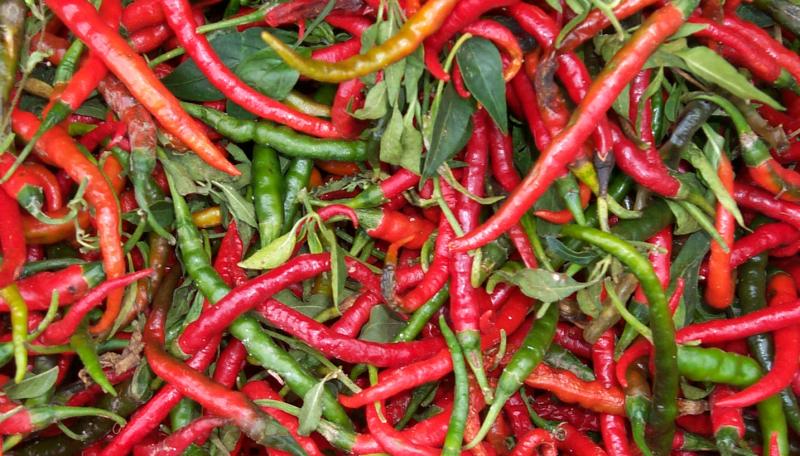 chilli  prices affect